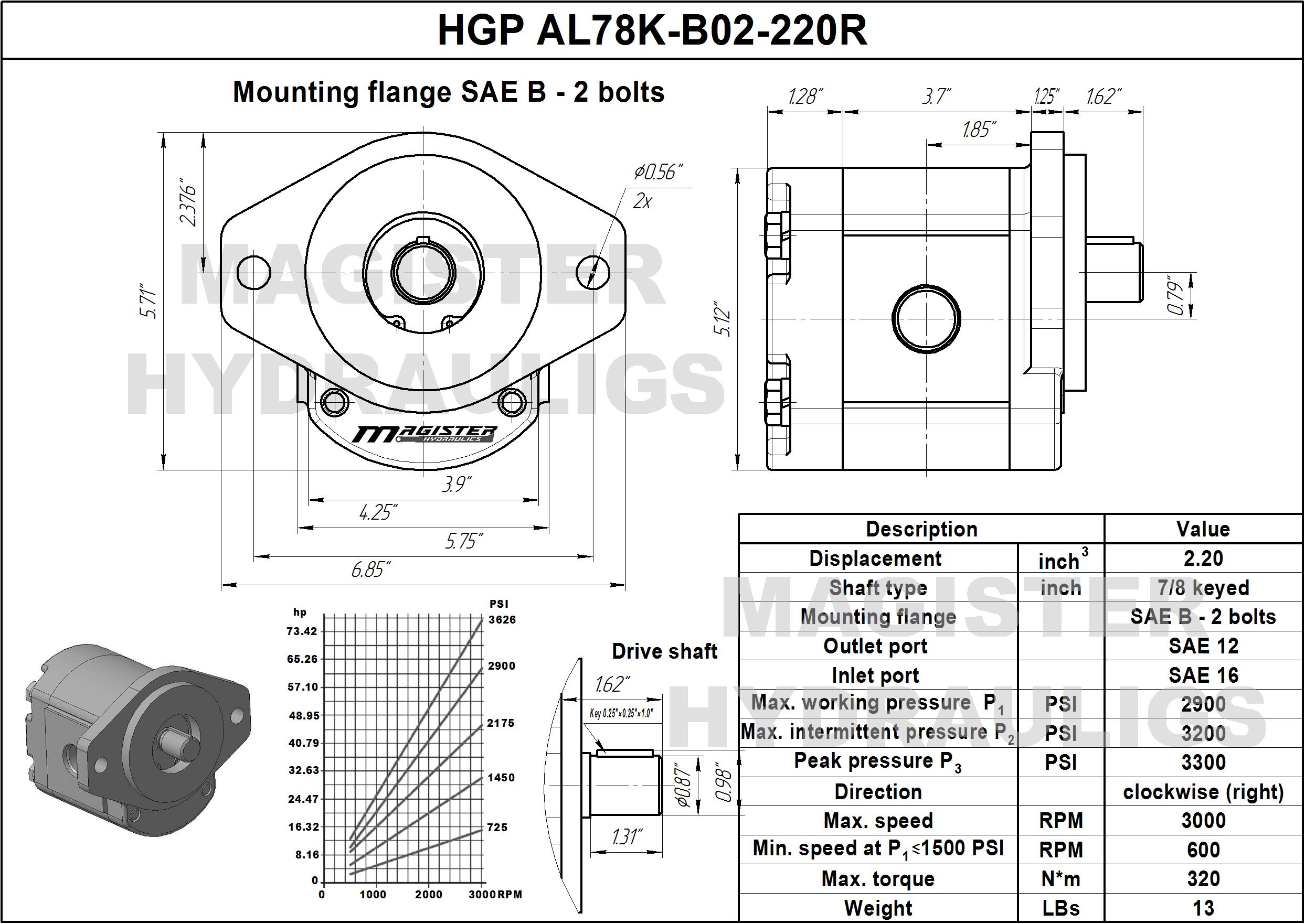 2.20 CID hydraulic gear pump, 7/8 keyed shaft clockwise gear pump | Magister Hydraulics