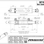 2 bore x 18 stroke hydraulic cylinder, welded tang double acting cylinder | Magister Hydraulics