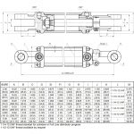 2 bore x 20 stroke CROSS hydraulic cylinder, tie rod double acting cylinder DB series | CROSS MANUFACTURING