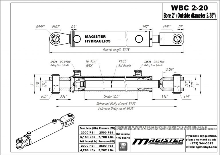 WBC-2-20.jpg